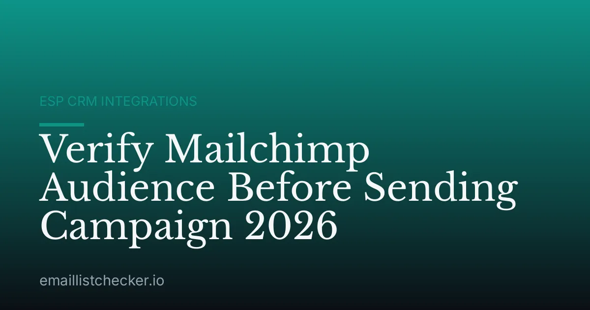 Verify Mailchimp Audience Before Sending Campaign 2026