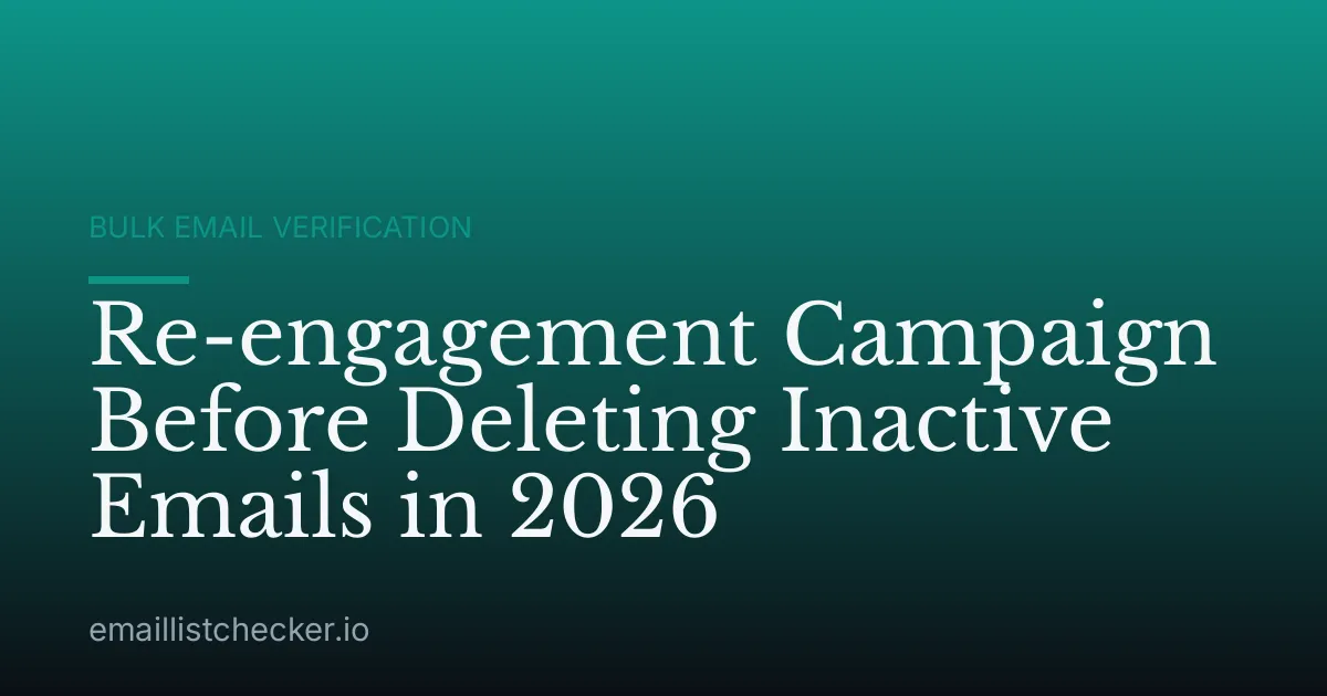 Re-engagement Campaign Before Deleting Inactive Emails in 2026