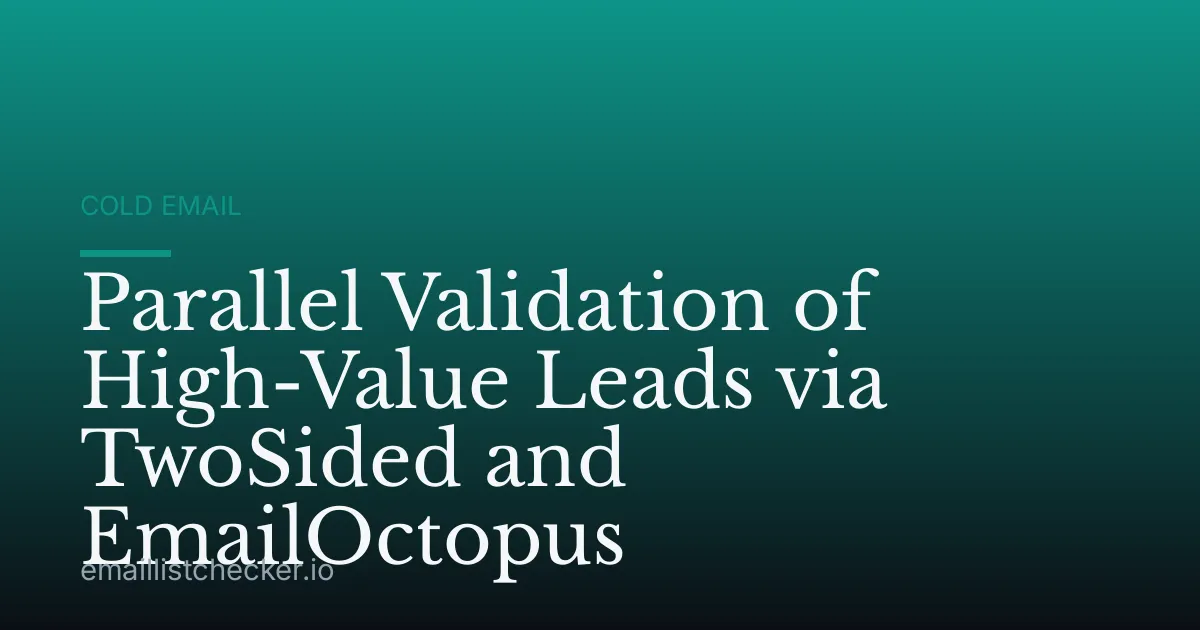 Parallel Validation of High-Value Leads via TwoSided and EmailOctopus