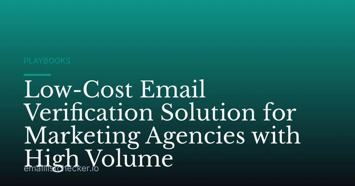 Low-Cost Email Verification Solution for Marketing Agencies with High Volume