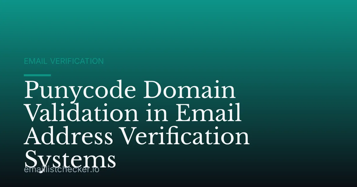 Punycode Domain Validation in Email Address Verification Systems