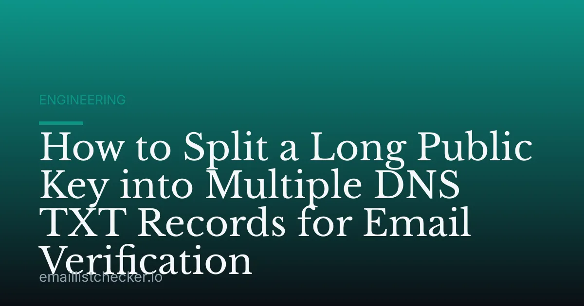 How to Split a Long Public Key into Multiple DNS TXT Records for Email Verification