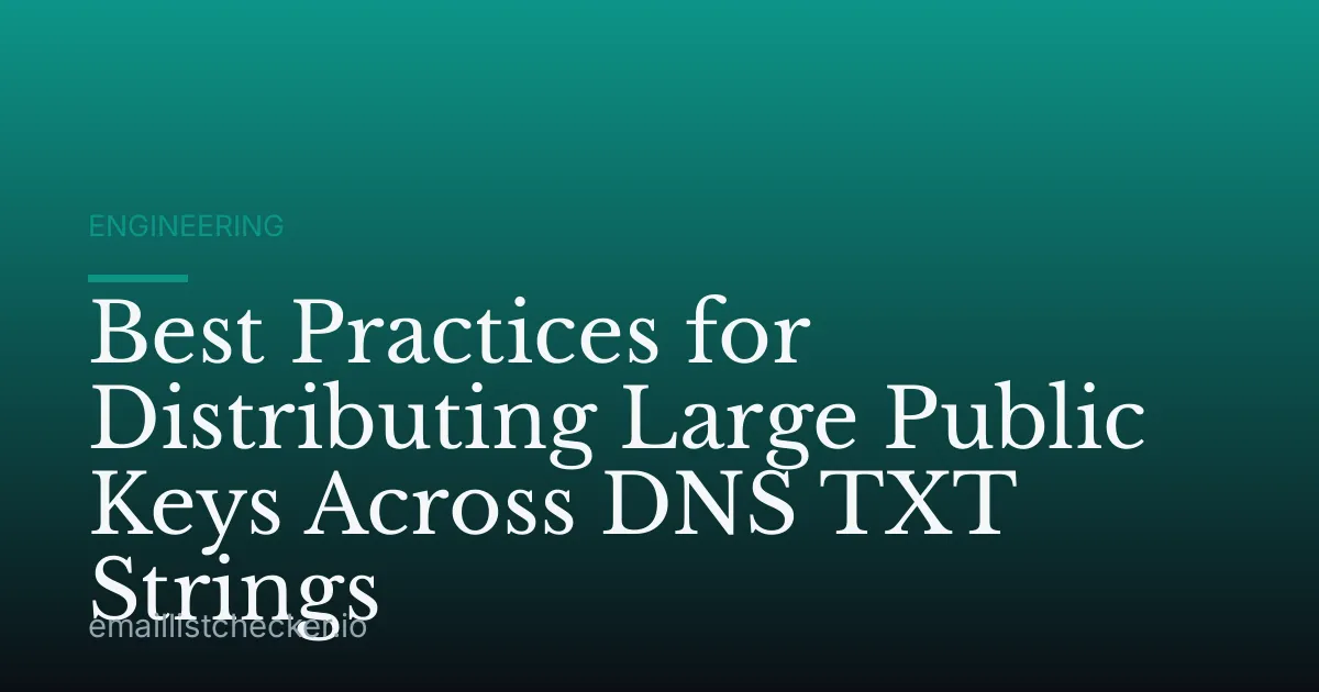 Best Practices for Distributing Large Public Keys Across DNS TXT Strings