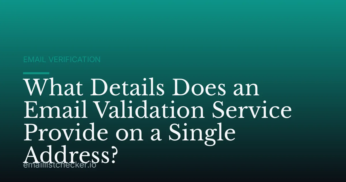 What Details Does an Email Validation Service Provide on a Single Address?