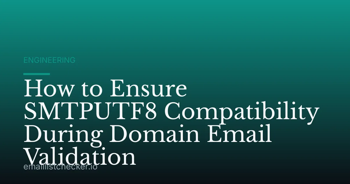 How to Ensure SMTPUTF8 Compatibility During Domain Email Validation