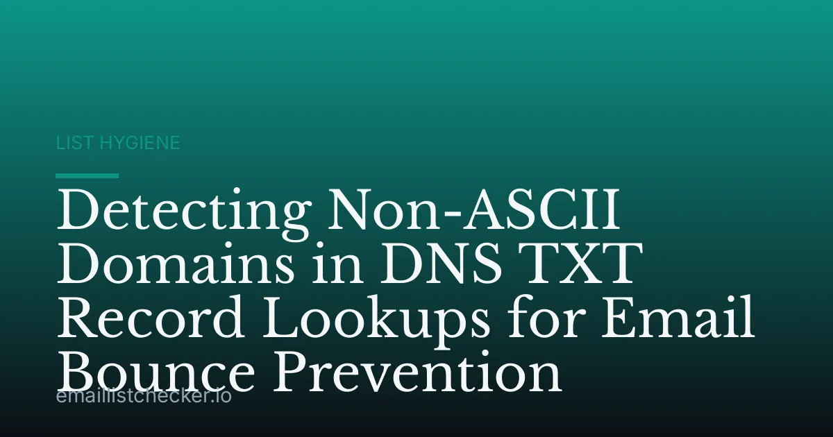 Detecting Non-ASCII Domains in DNS TXT Record Lookups for Email Bounce Prevention
