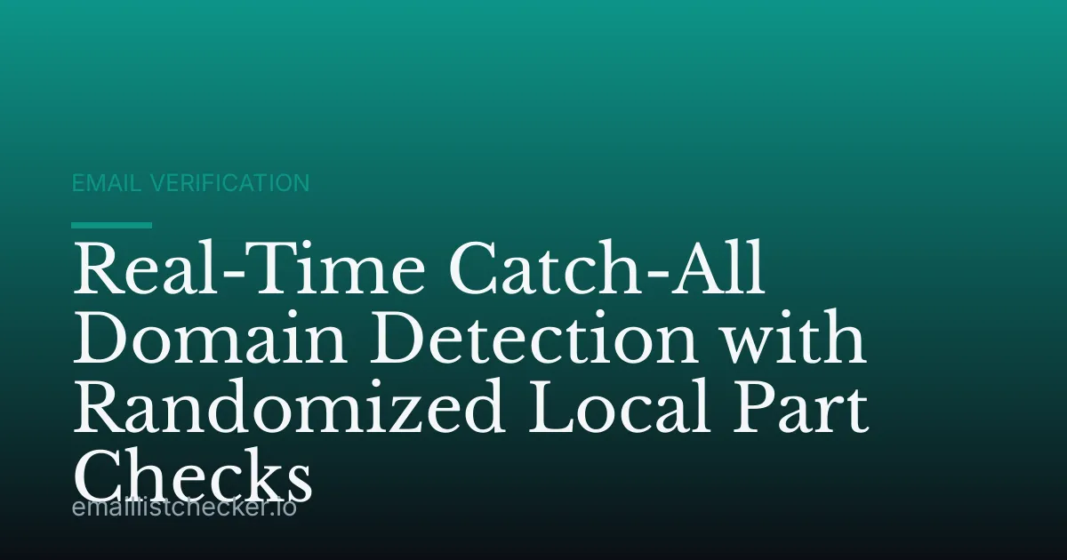 Real-Time Catch-All Domain Detection with Randomized Local Part Checks