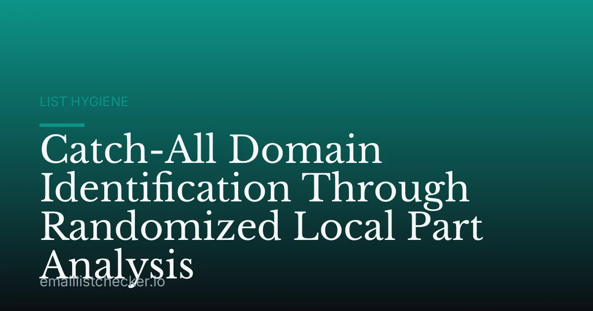 Catch-All Domain Identification Through Randomized Local Part Analysis