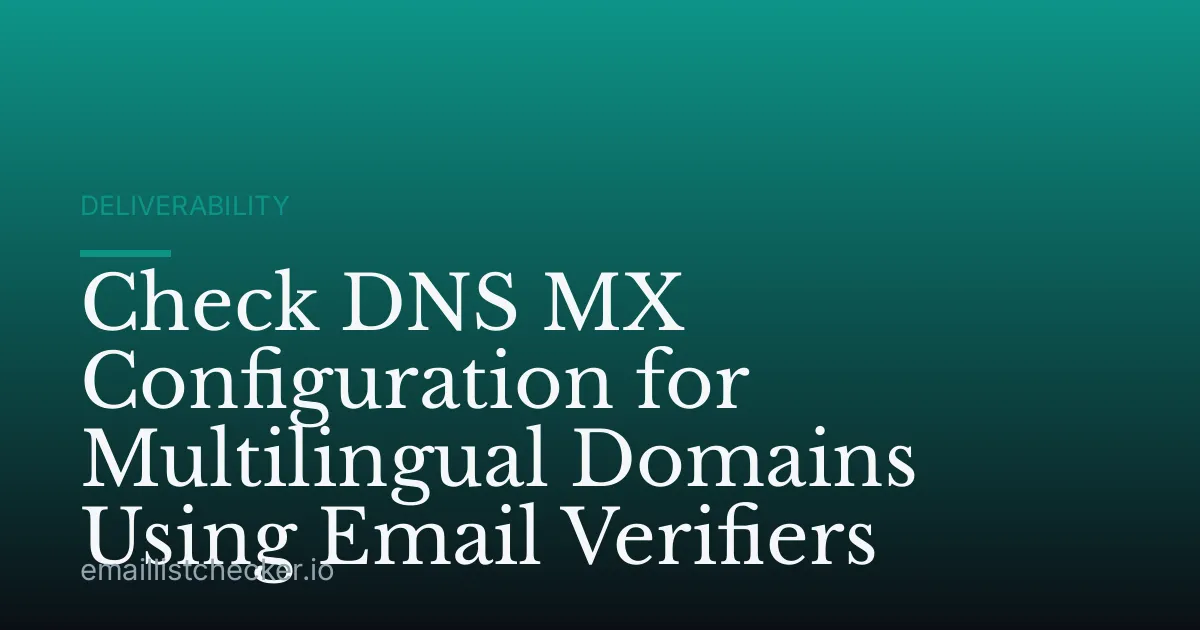Check DNS MX Configuration for Multilingual Domains Using Email Verifiers