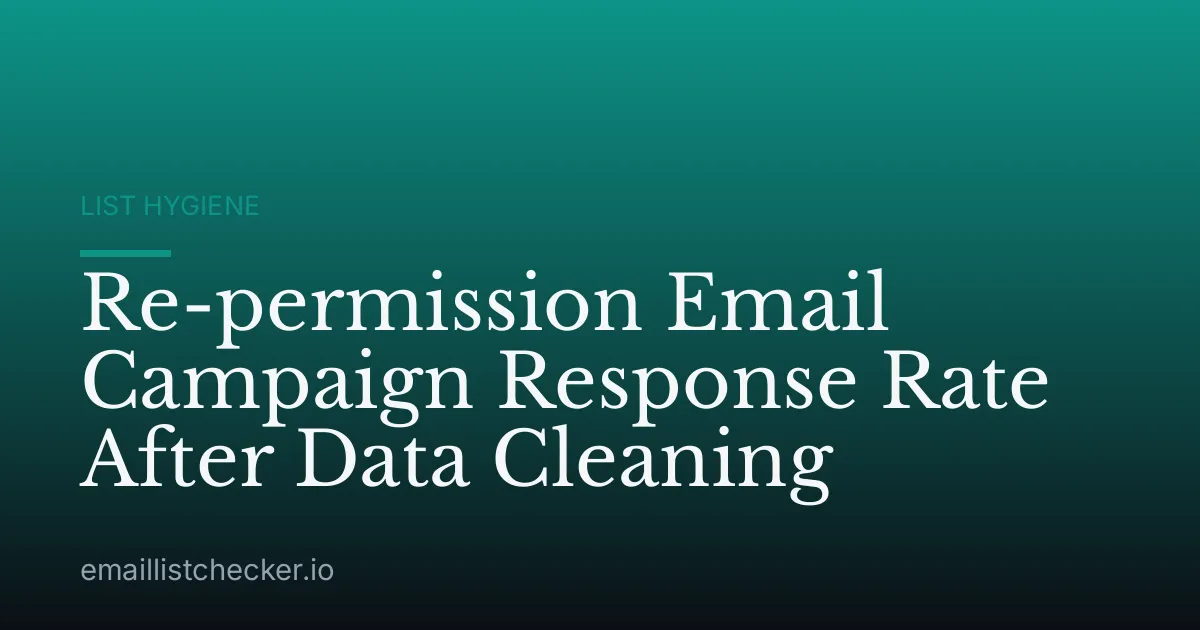 Re-permission Email Campaign Response Rate After Data Cleaning
