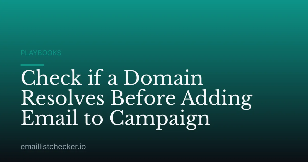 Check if a Domain Resolves Before Adding Email to Campaign
