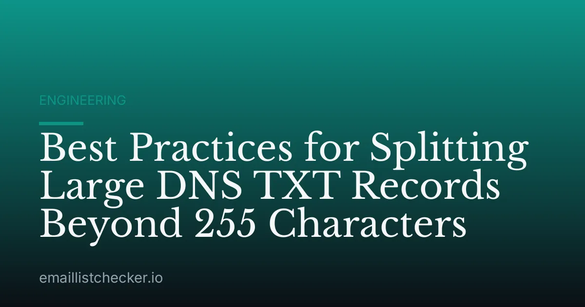 Best Practices for Splitting Large DNS TXT Records Beyond 255 Characters