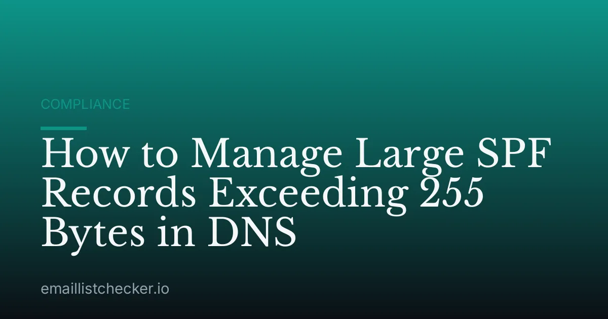 How to Manage Large SPF Records Exceeding 255 Bytes in DNS