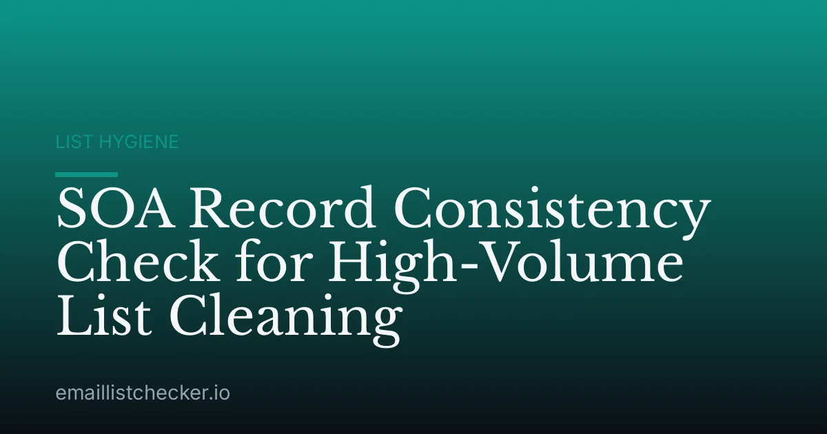 SOA Record Consistency Check for High-Volume List Cleaning