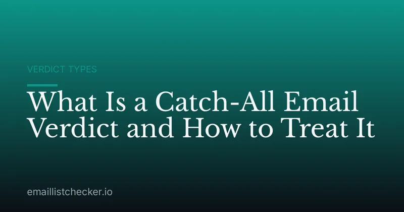 What Is a Catch-All Email Verdict and How to Treat It