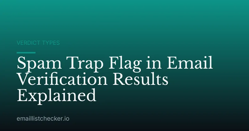 Spam Trap Flag in Email Verification Results Explained