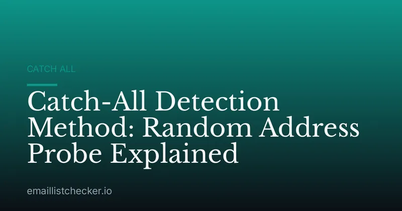 Catch-All Detection Method: Random Address Probe Explained