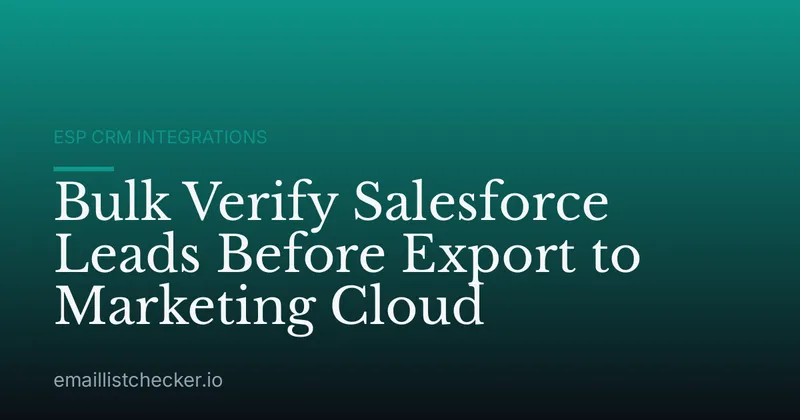 Bulk Verify Salesforce Leads Before Export to Marketing Cloud