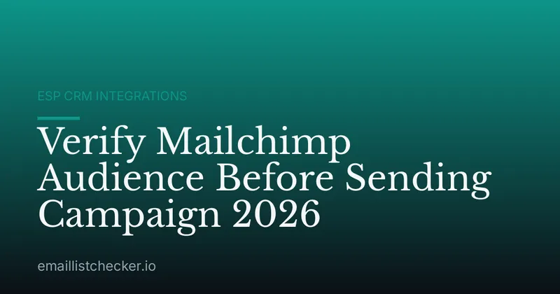 Verify Mailchimp Audience Before Sending Campaign 2026
