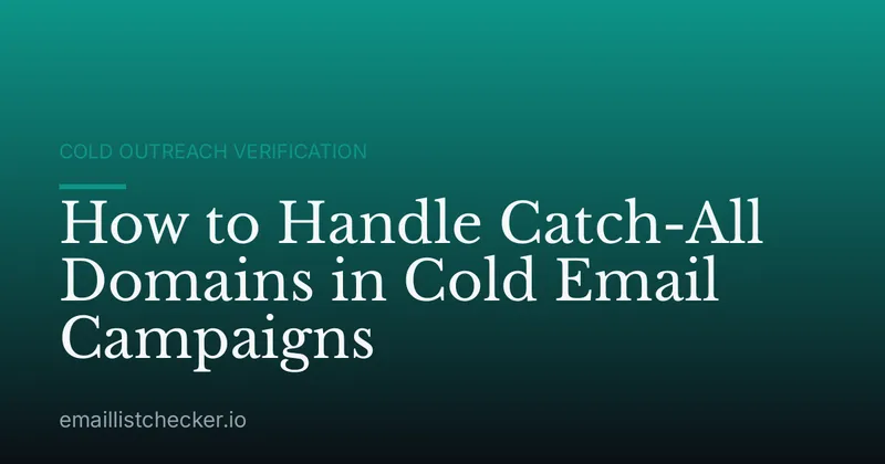 How to Handle Catch-All Domains in Cold Email Campaigns