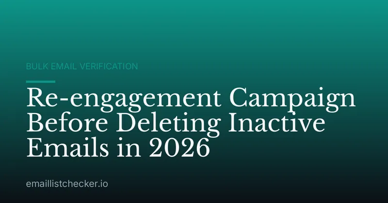 Re-engagement Campaign Before Deleting Inactive Emails in 2026