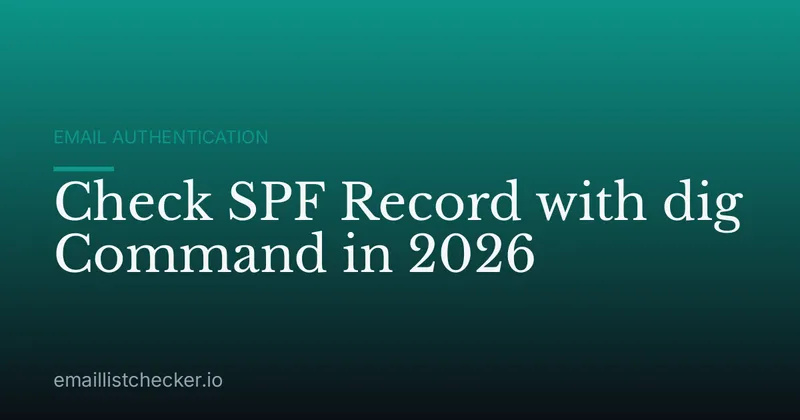 Check SPF Record with dig Command in 2026
