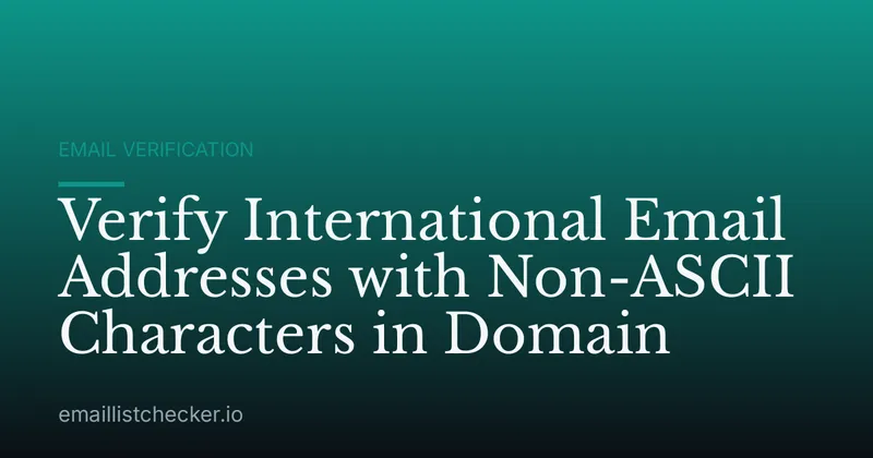 Verify International Email Addresses with Non-ASCII Characters in Domain