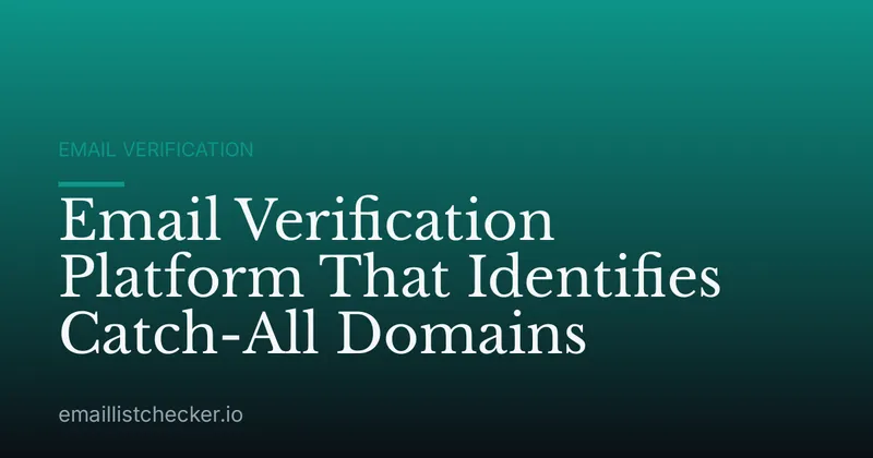 Email Verification Platform That Identifies Catch-All Domains
