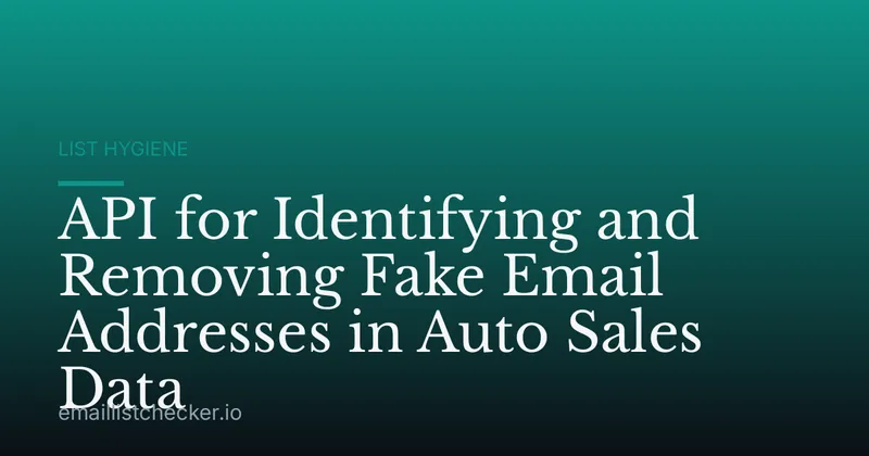 API for Identifying and Removing Fake Email Addresses in Auto Sales Data