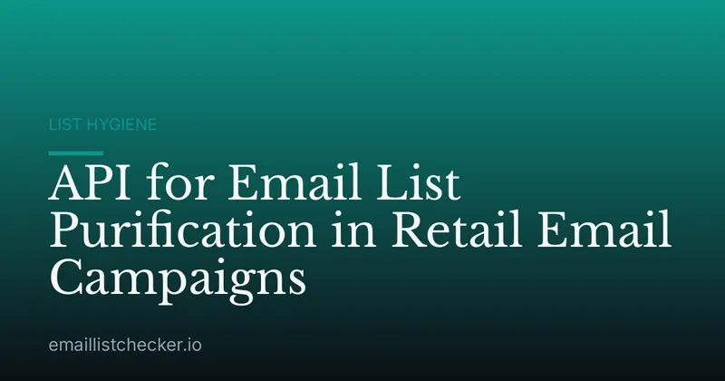 API for Email List Purification in Retail Email Campaigns