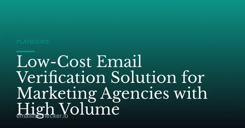 Low-Cost Email Verification Solution for Marketing Agencies with High Volume
