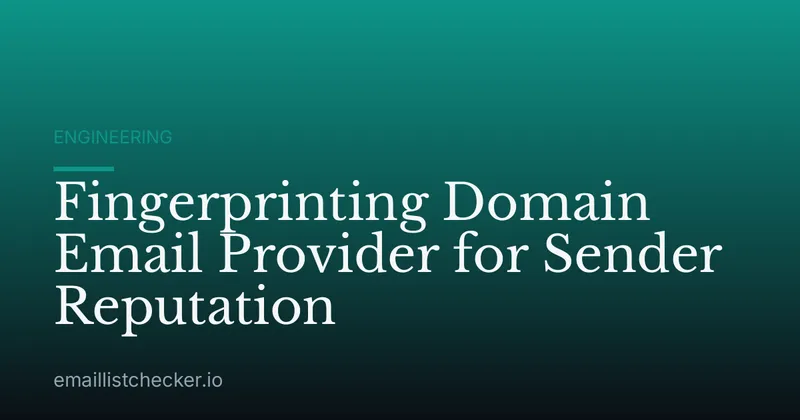 Fingerprinting Domain Email Provider for Sender Reputation