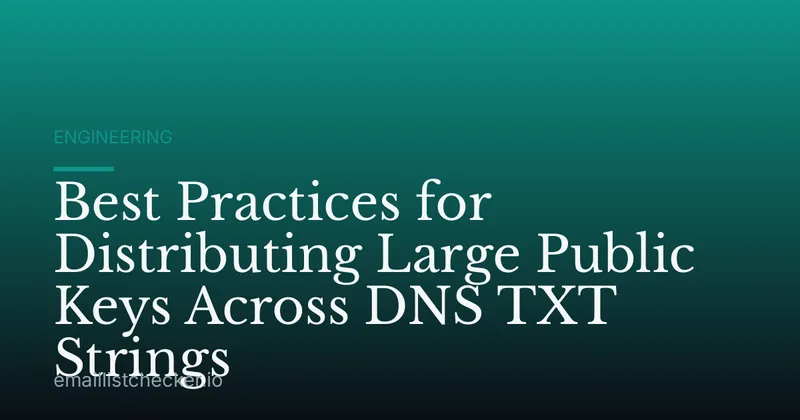 Best Practices for Distributing Large Public Keys Across DNS TXT Strings