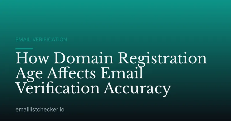 How Domain Registration Age Affects Email Verification Accuracy
