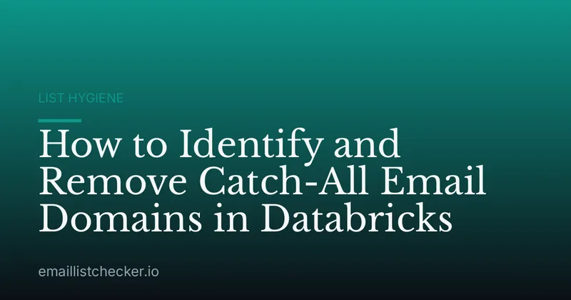 How to Identify and Remove Catch-All Email Domains in Databricks