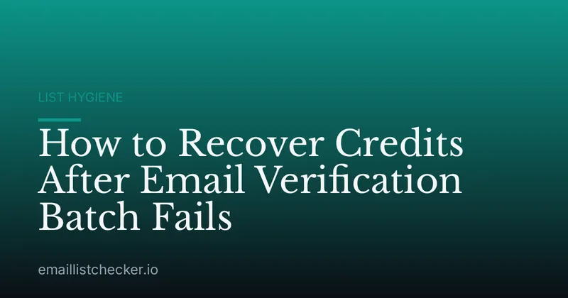 How to Recover Credits After Email Verification Batch Fails