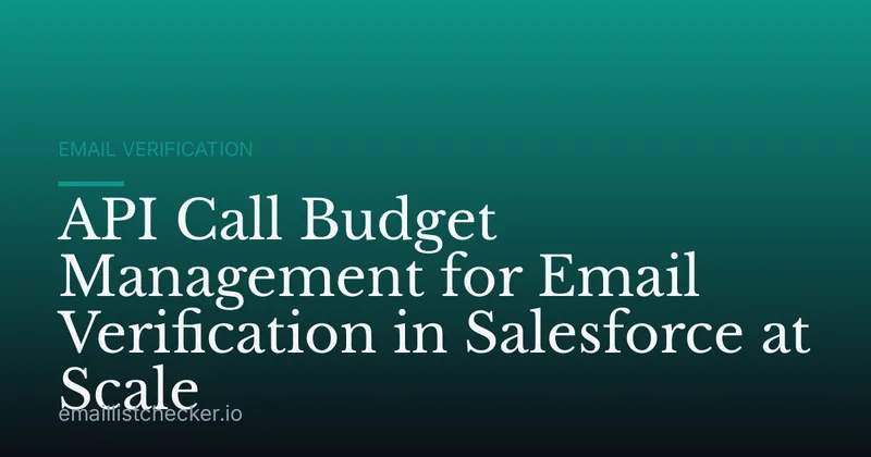 API Call Budget Management for Email Verification in Salesforce at Scale