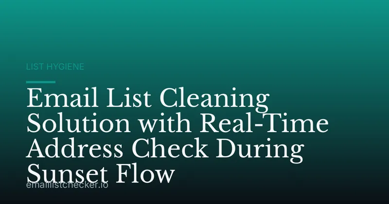 Email List Cleaning Solution with Real-Time Address Check During Sunset Flow