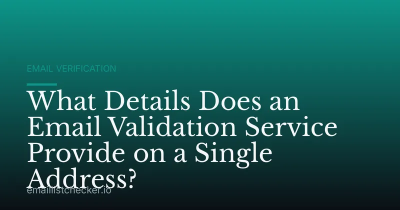 What Details Does an Email Validation Service Provide on a Single Address?