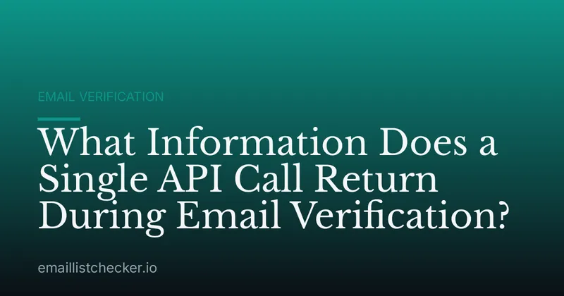What Information Does a Single API Call Return During Email Verification?