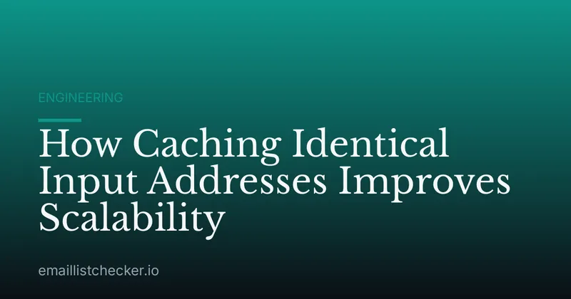 How Caching Identical Input Addresses Improves Scalability