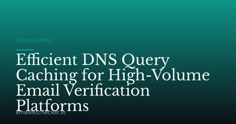 Efficient DNS Query Caching for High-Volume Email Verification Platforms