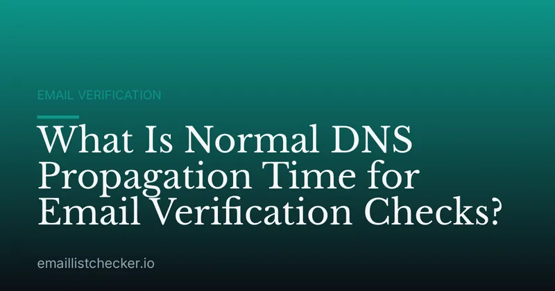 What Is Normal DNS Propagation Time for Email Verification Checks?