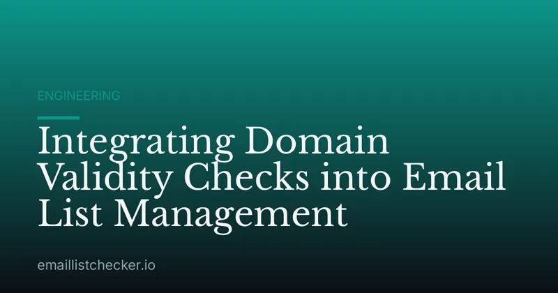 Integrating Domain Validity Checks into Email List Management