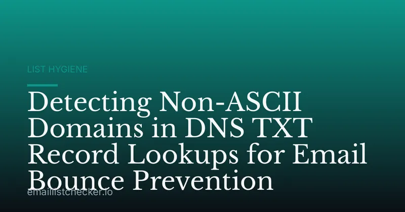 Detecting Non-ASCII Domains in DNS TXT Record Lookups for Email Bounce Prevention