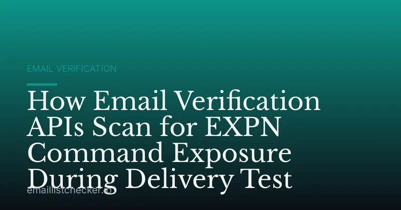 How Email Verification APIs Scan for EXPN Command Exposure During Delivery Test