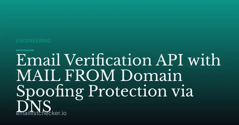 Email Verification API with MAIL FROM Domain Spoofing Protection via DNS