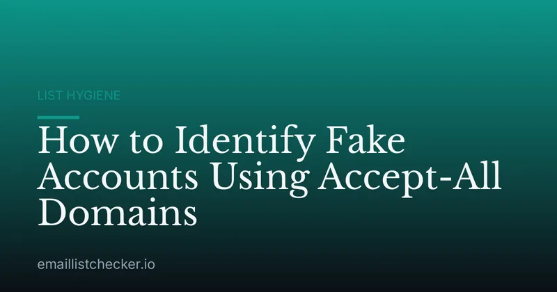 How to Identify Fake Accounts Using Accept-All Domains