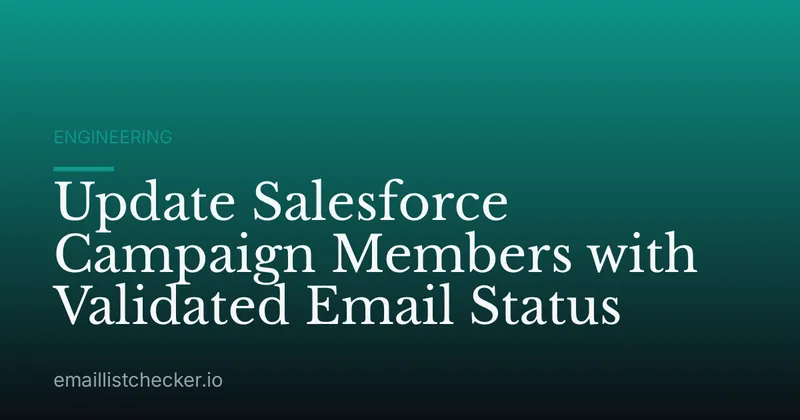 Update Salesforce Campaign Members with Validated Email Status