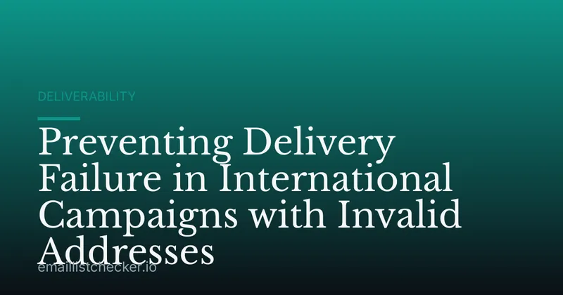 Preventing Delivery Failure in International Campaigns with Invalid Addresses